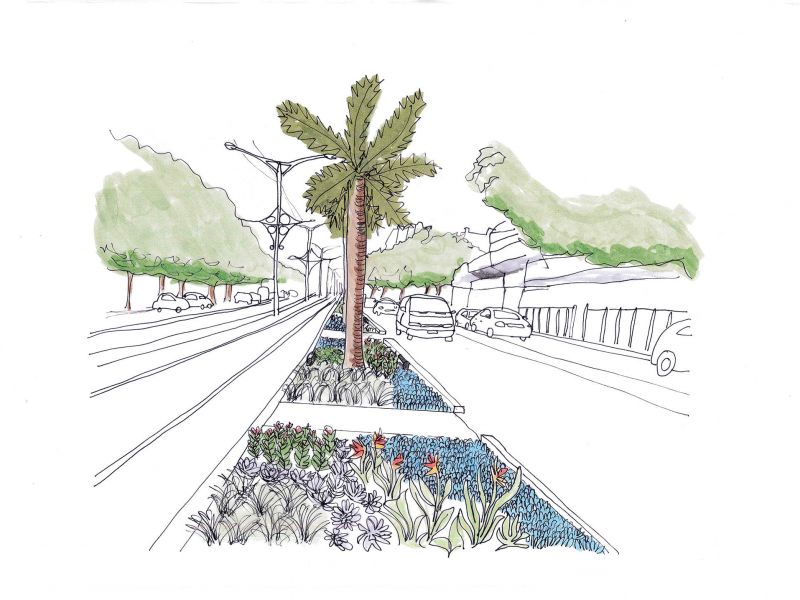 Artists sketch of the Central Median Greening